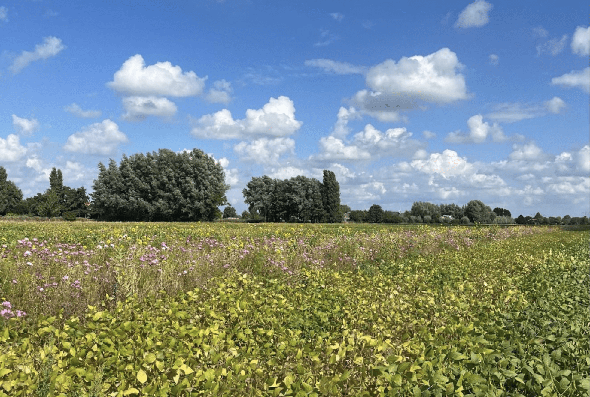 Photo taken in Klompe Landbouw, a regenerative agriculture farm in the Netherlands