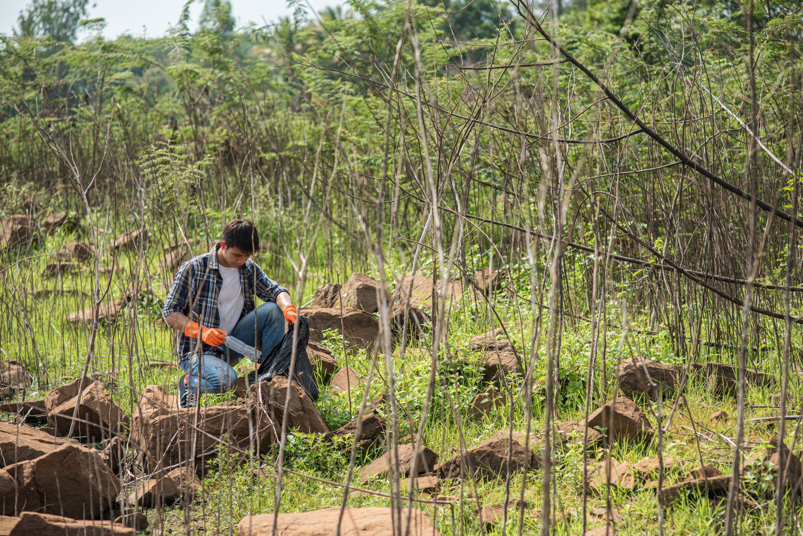 Examples of blended finance projects are reforestation project, sustainable agriculture, and mangrove restoration.