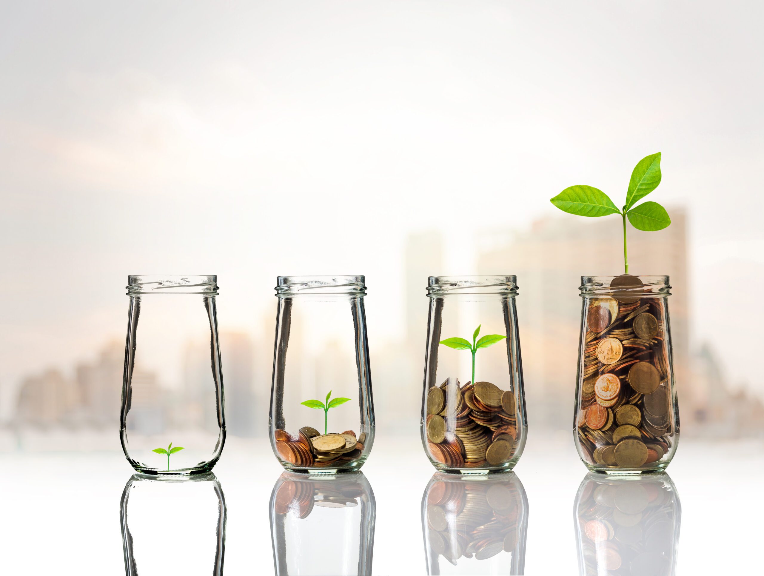 Integrating Sustainability into Investments: Navigating Sustainable Investing